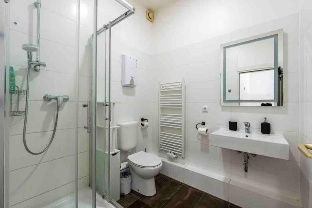 Big Fancy Apartments City Center Berlin Bagian luar foto
